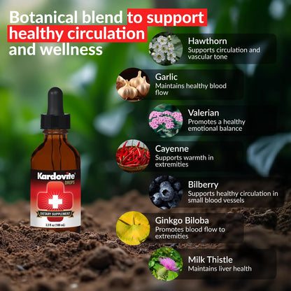 Kardovite Herbal Circulation Support Drops 100ml | Supports Circulatory Wellness with Hawthorn, Garlic, Ginkgo, Cayenne, Milk Thistle, Bilberry & Valerian | Supports Vitality & Daily Wellness - dailyvitalstore