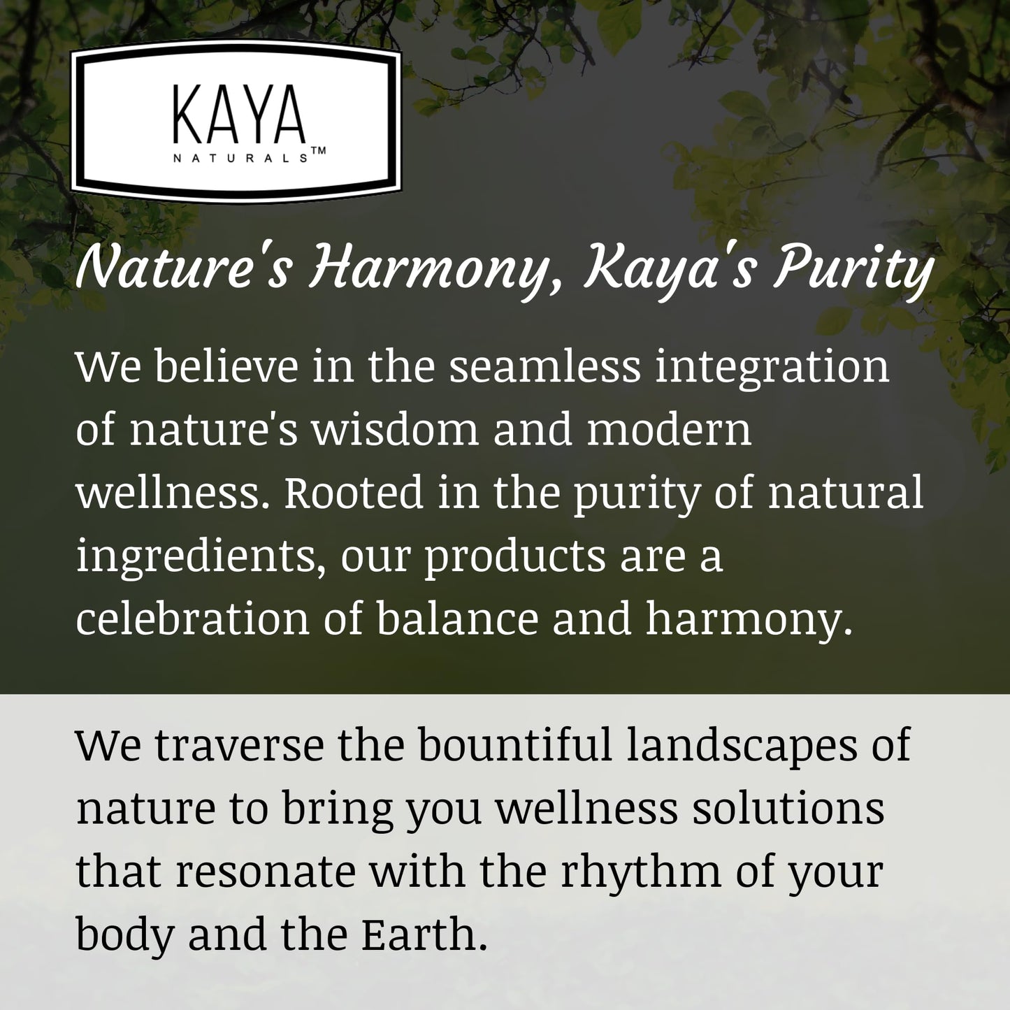 Kaya Naturals - Natural Herbal Support Vitamin Supplement are Designed to Help You find Balance and Relaxation in Your Daily Routine - Vitamin Supplement - 180 Capsules - dailyvitalstore