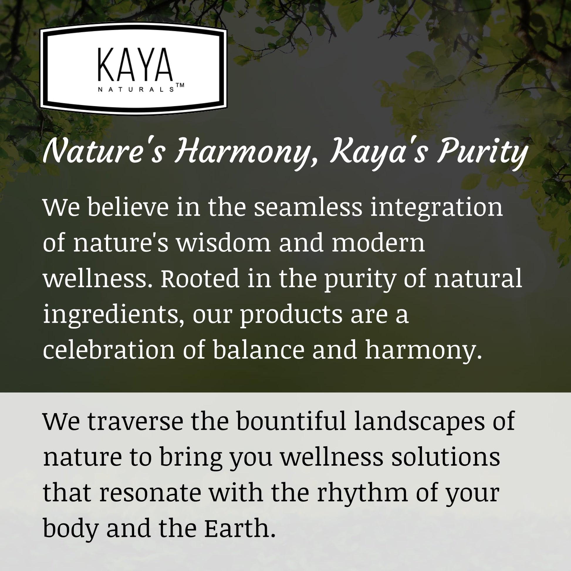 Kaya Naturals - Natural Herbal Support Vitamin Supplement are Designed to Help You find Balance and Relaxation in Your Daily Routine - Vitamin Supplement - 180 Capsules - dailyvitalstore