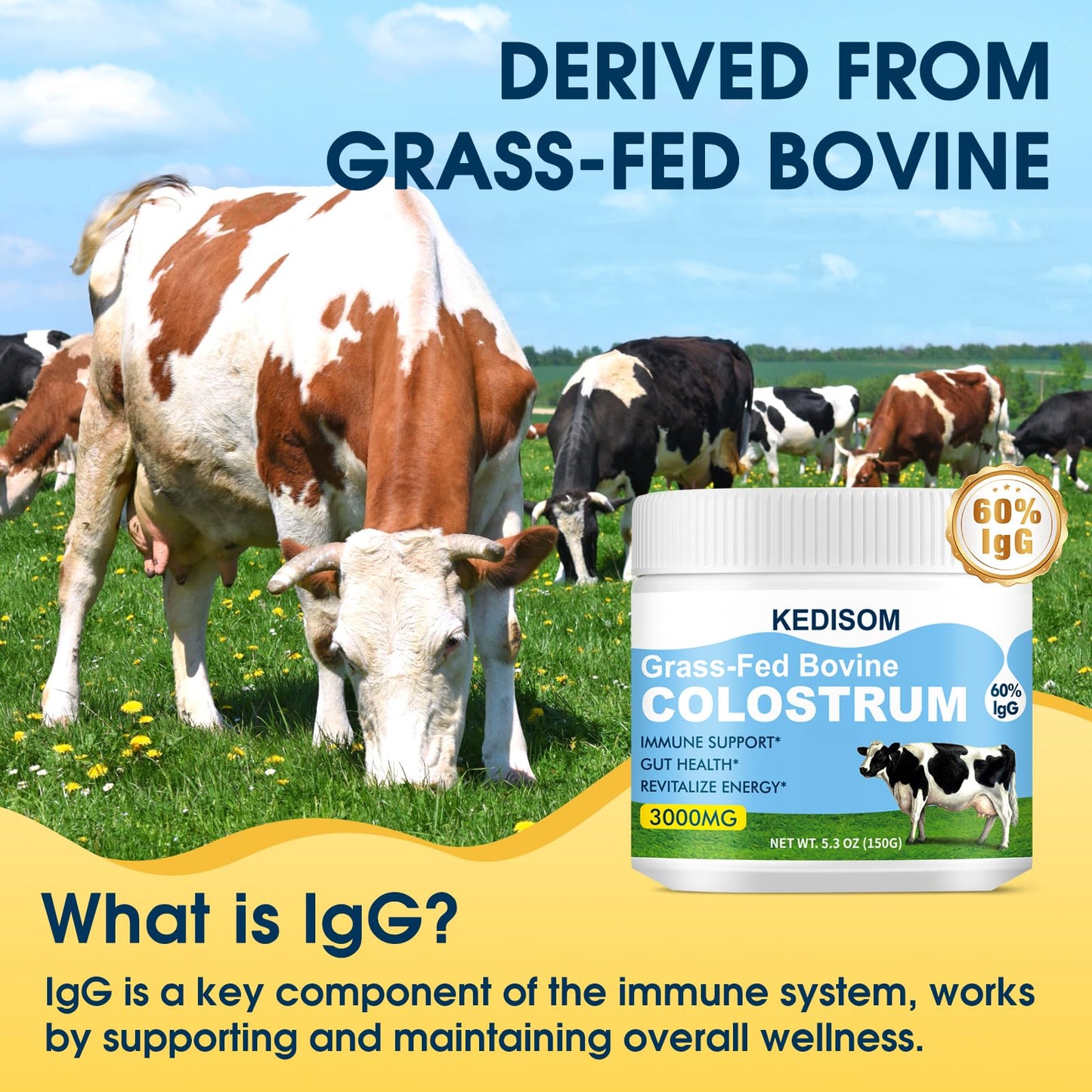 KEDISOM Grass-Fed Bovine Colostrum Supplement Powder - 60% High IgG 3000 mg for Gut Health, Immune Support - Easy to Mix Natural Liposomal - dailyvitalstore
