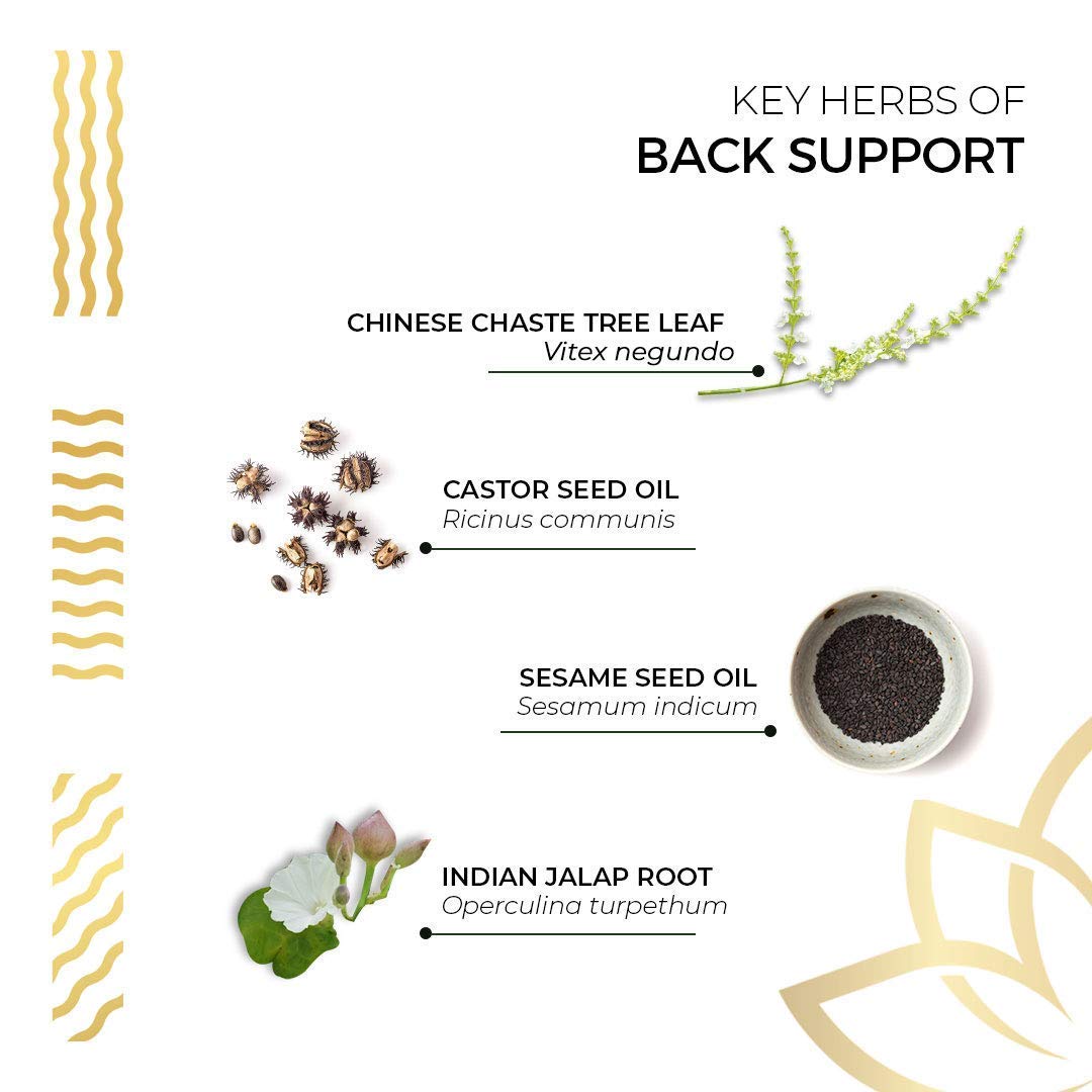 Kerala Ayurveda Back Support Herbal Capsules - Eases Occasional Discomfort of Lower Back & Supports Normal Movement of Spine, 90 Count - dailyvitalstore