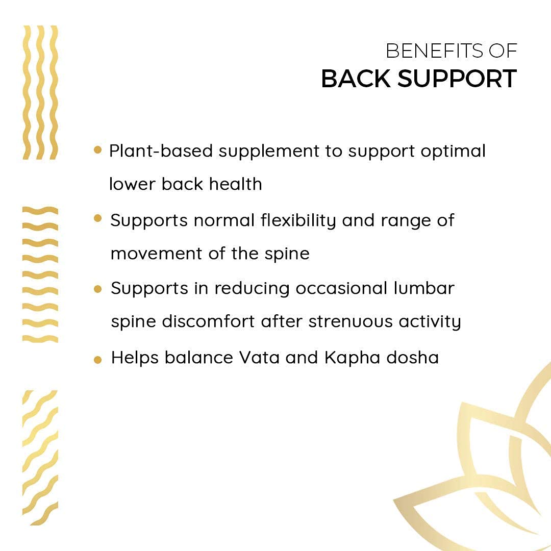 Kerala Ayurveda Back Support Herbal Capsules - Eases Occasional Discomfort of Lower Back & Supports Normal Movement of Spine, 90 Count - dailyvitalstore