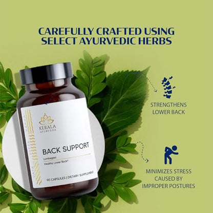 Kerala Ayurveda Back Support Herbal Capsules - Eases Occasional Discomfort of Lower Back & Supports Normal Movement of Spine, 90 Count - dailyvitalstore