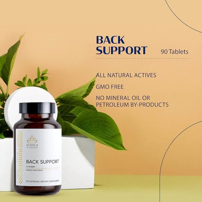 Kerala Ayurveda Back Support Herbal Capsules - Eases Occasional Discomfort of Lower Back & Supports Normal Movement of Spine, 90 Count - dailyvitalstore