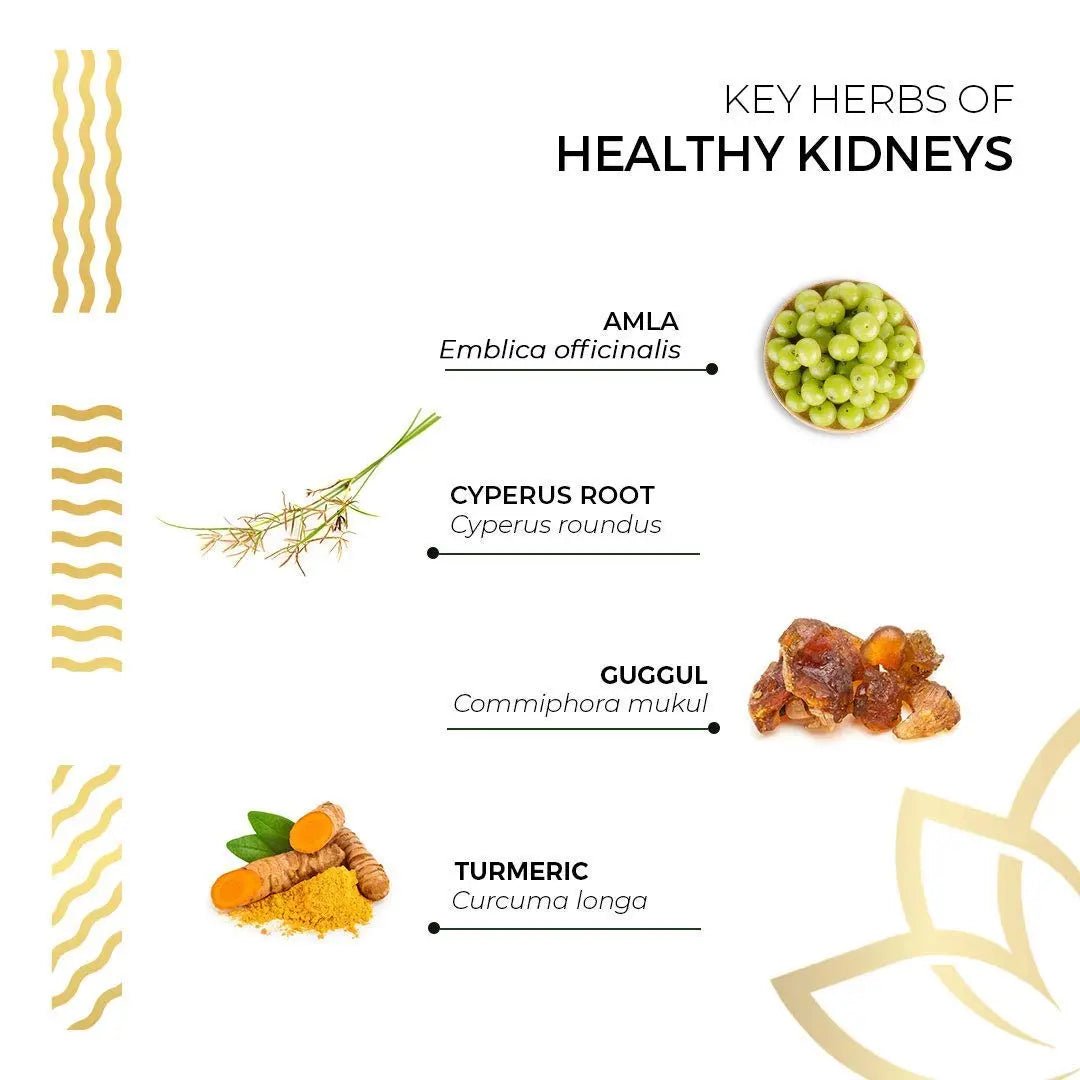 Kerala Ayurveda Healthy Kidney Herbal Tablets | Support Normal Kidney Function and Health | Kidney and Bladder Support | Urinary System Support - 90 Count - dailyvitalstore