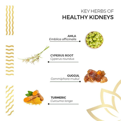 Kerala Ayurveda Healthy Kidney Herbal Tablets | Support Normal Kidney Function and Health | Kidney and Bladder Support | Urinary System Support - 90 Count - dailyvitalstore