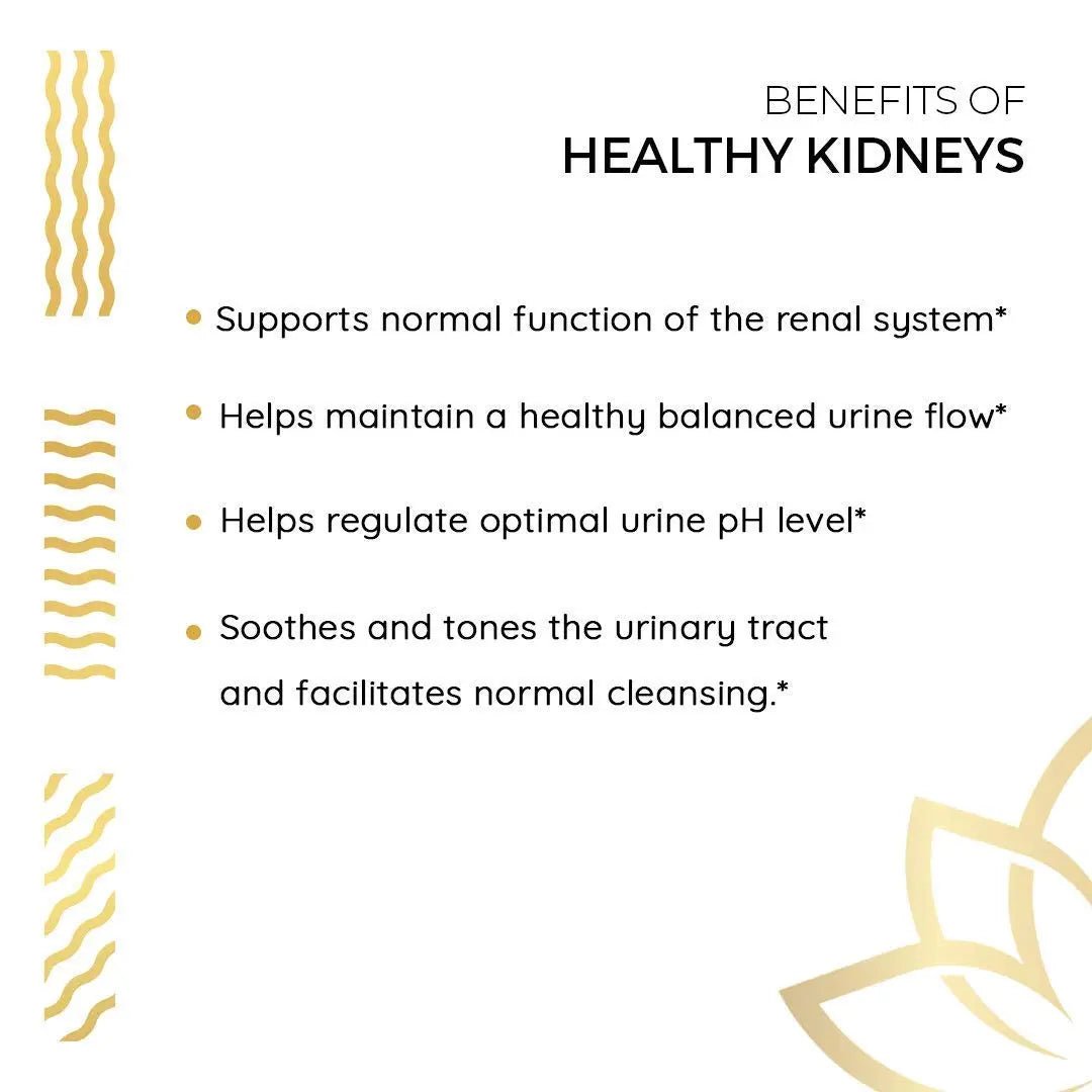 Kerala Ayurveda Healthy Kidney Herbal Tablets | Support Normal Kidney Function and Health | Kidney and Bladder Support | Urinary System Support - 90 Count - dailyvitalstore