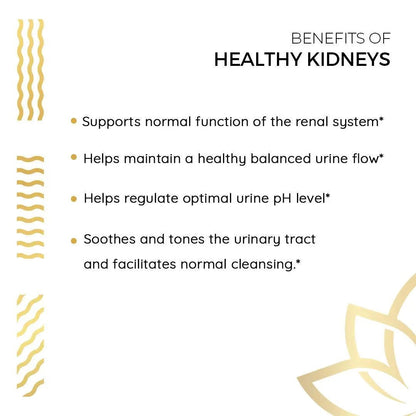 Kerala Ayurveda Healthy Kidney Herbal Tablets | Support Normal Kidney Function and Health | Kidney and Bladder Support | Urinary System Support - 90 Count - dailyvitalstore