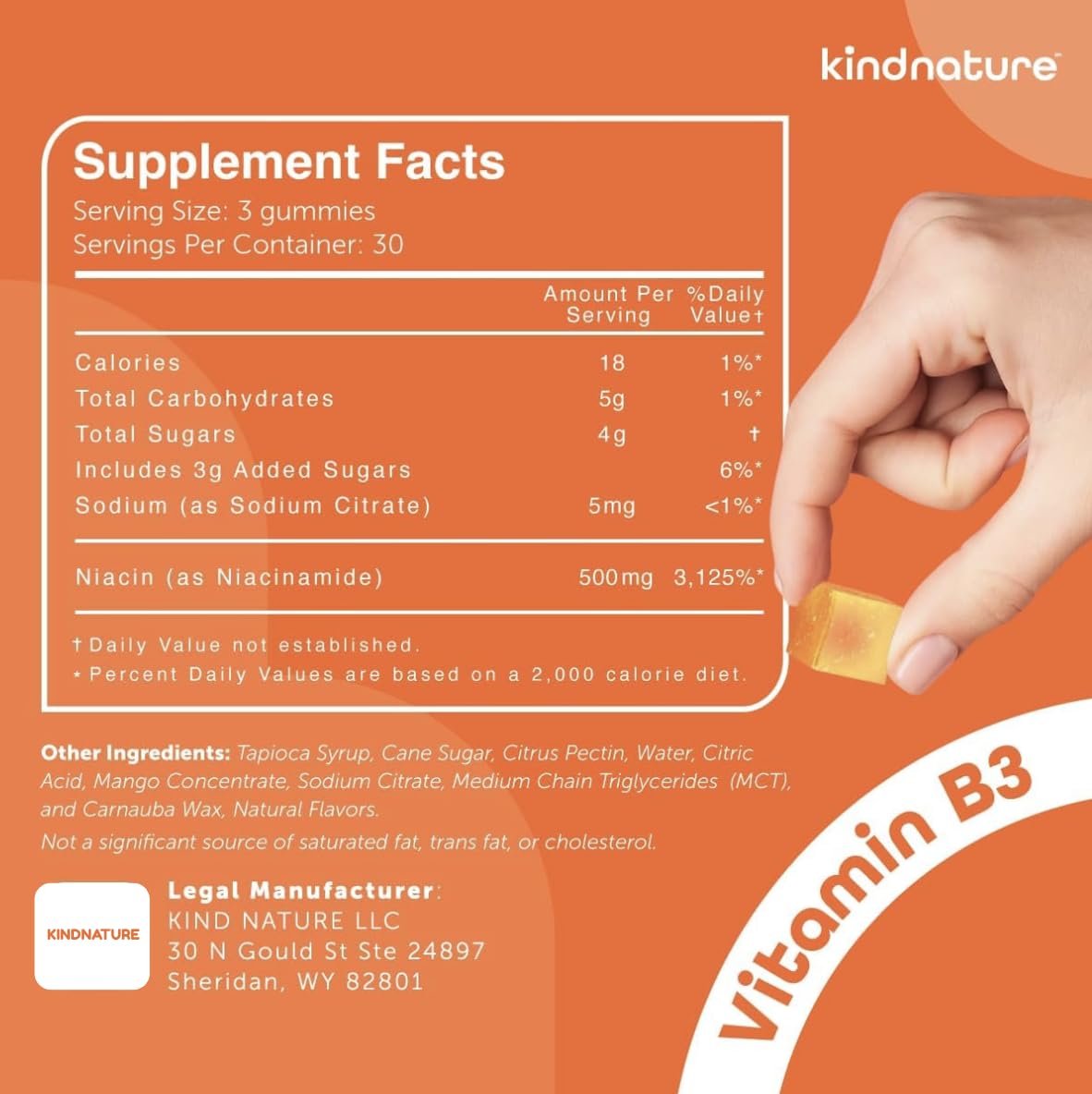 kindnature Vitamin B3 Niacinamide Gummies 500mg – Flush-Free Niacin Supplement – Supports Skin, Energy & Nervous System Wellness – Vegan, Non-GMO - dailyvitalstore