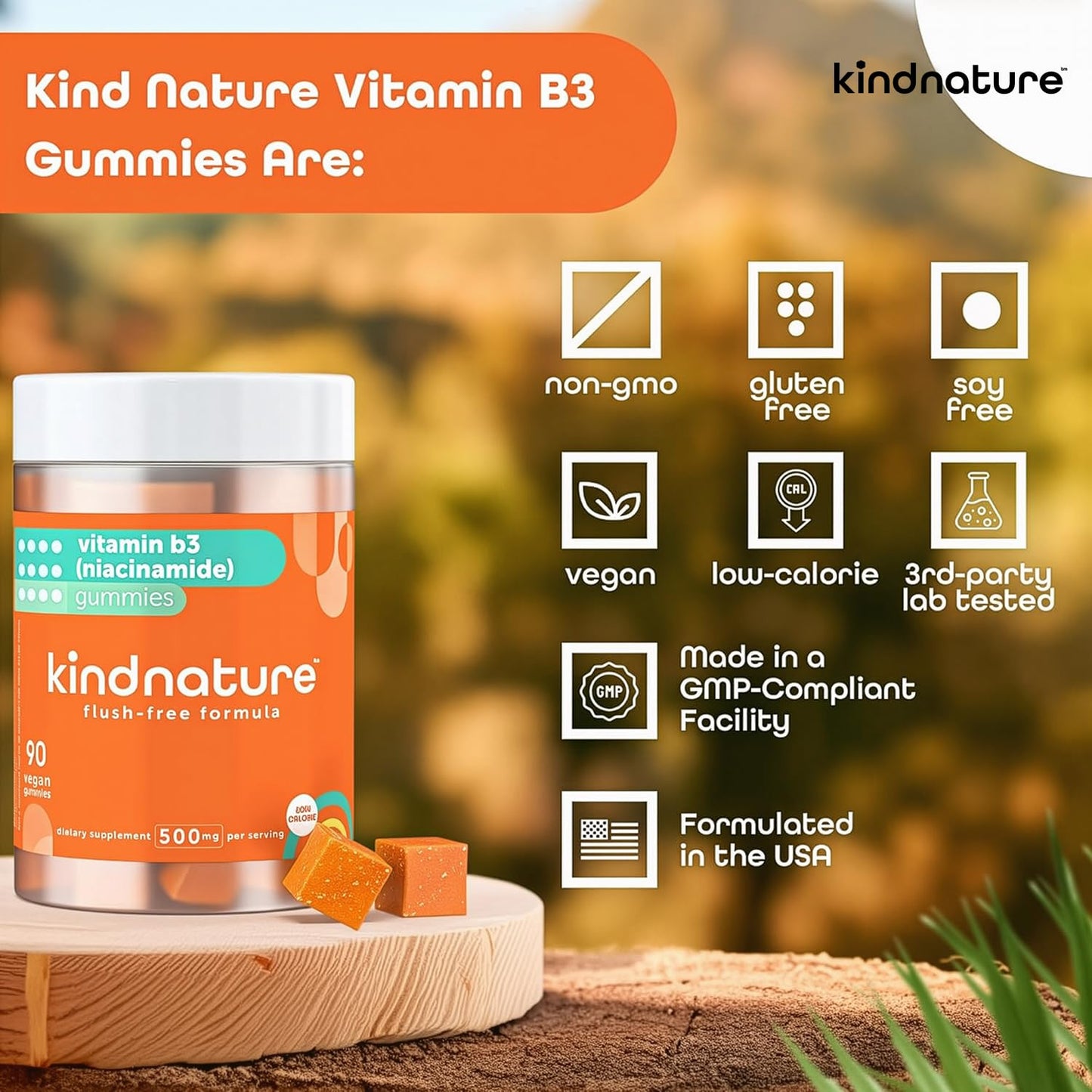 kindnature Vitamin B3 Niacinamide Gummies 500mg – Flush-Free Niacin Supplement – Supports Skin, Energy & Nervous System Wellness – Vegan, Non-GMO - dailyvitalstore