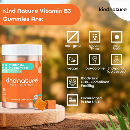 kindnature Vitamin B3 Niacinamide Gummies 500mg – Flush-Free Niacin Supplement – Supports Skin, Energy & Nervous System Wellness – Vegan, Non-GMO - dailyvitalstore
