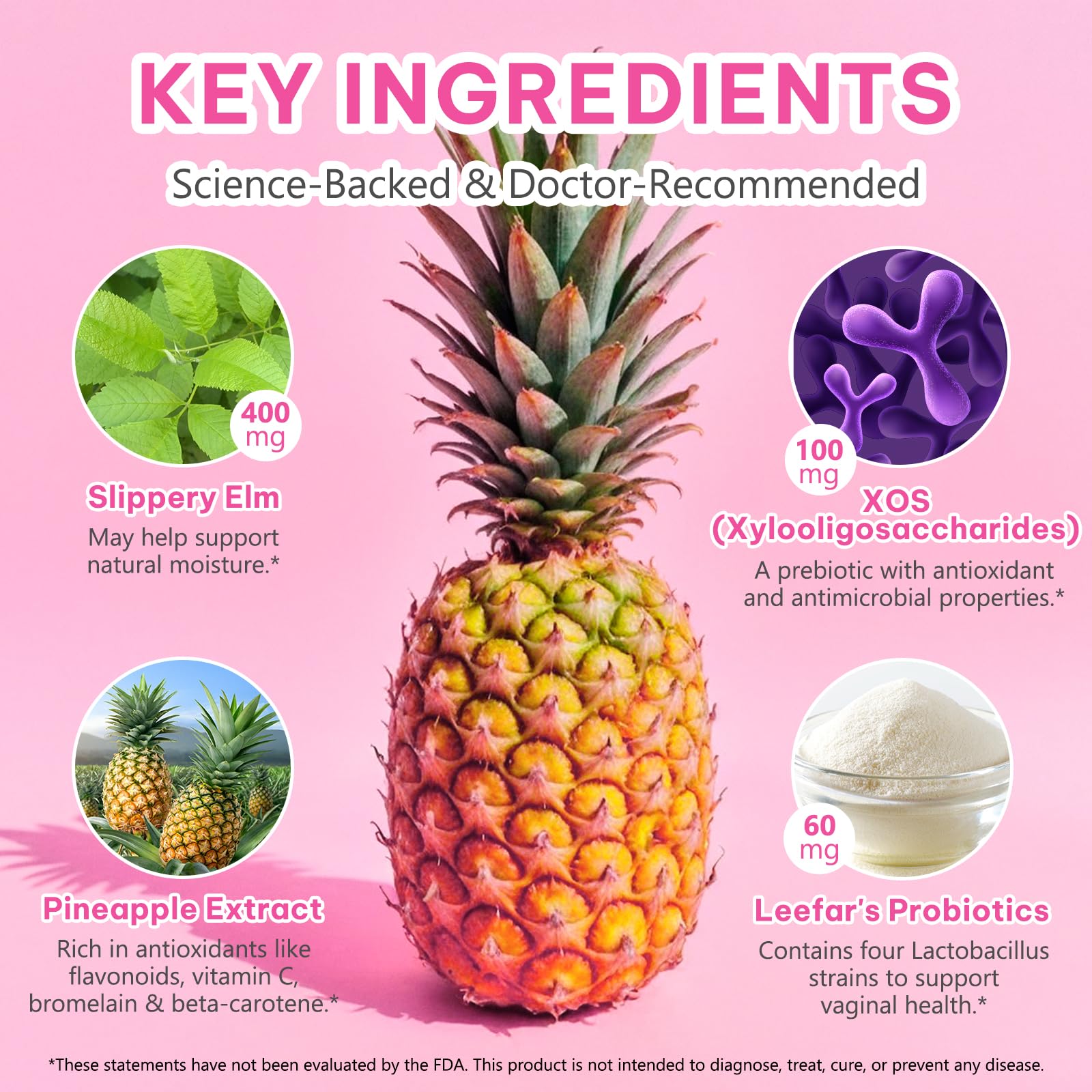 KITNOBLIS Feminine Probiotic Gummies with Slippery Elm- Pineapple Gummies for Women pH Balance, Gut Health & Immune Supports | with Prebiotics & Lactobacillus Blend (60 Gummies) - dailyvitalstore