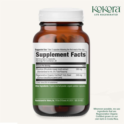 kokora Extra Strength Rhodiola Rosea – Stress Relief, Endurance & Promotes Mental & Physical Performance* - with Siberian Rhodiola, Rosavins, Organic Holy Basil - Vegan, Non-GMO - 60 Capsules - dailyvitalstore