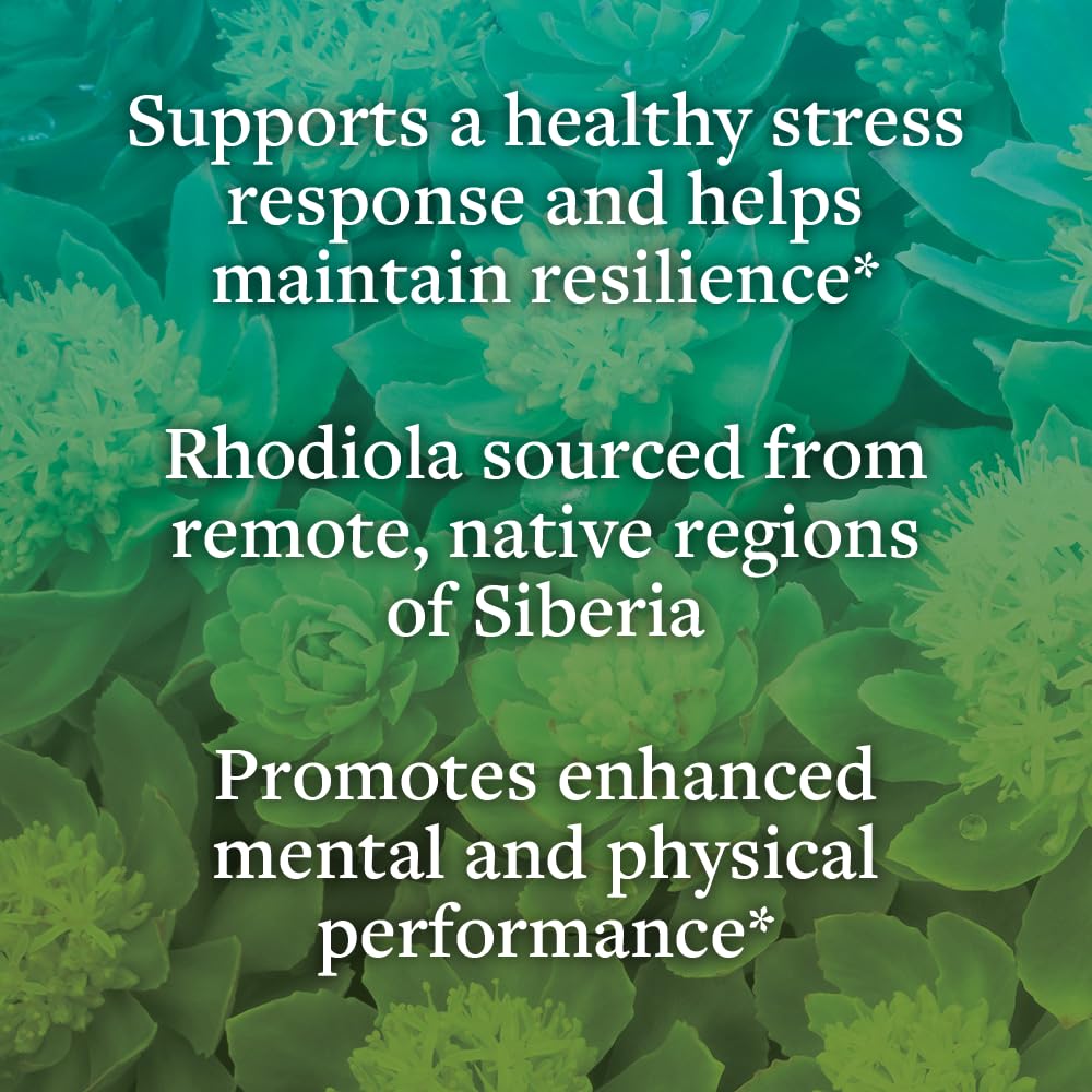 kokora Extra Strength Rhodiola Rosea – Stress Relief, Endurance & Promotes Mental & Physical Performance* - with Siberian Rhodiola, Rosavins, Organic Holy Basil - Vegan, Non-GMO - 60 Capsules - dailyvitalstore