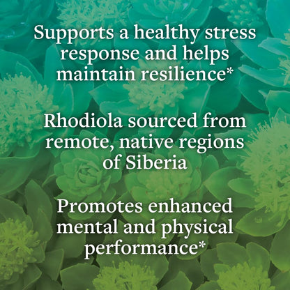 kokora Extra Strength Rhodiola Rosea – Stress Relief, Endurance & Promotes Mental & Physical Performance* - with Siberian Rhodiola, Rosavins, Organic Holy Basil - Vegan, Non-GMO - 60 Capsules - dailyvitalstore