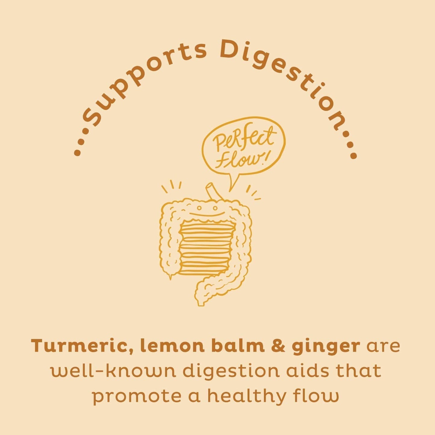 KOS Golden Mylk with Tumeric and Ginger, Organic Superfood Latte Powder, Adaptogen Mushroom Blend - Coffee Creamer, Dessert & Smoothie - Caffeine Free, Vegan, Dairy-Free, Gingerbread Chai, 28 Servings - dailyvitalstore