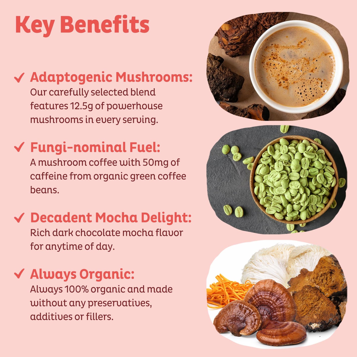 KOS Mushroom Coffee - USDA Certified Organic - Dark Chocolate Mocha Flavor - Mushroom Coffee Latte Powder with Reishi, Cordyceps, Lion's Mane, Chaga & Turkey Tail Mushrooms - dailyvitalstore