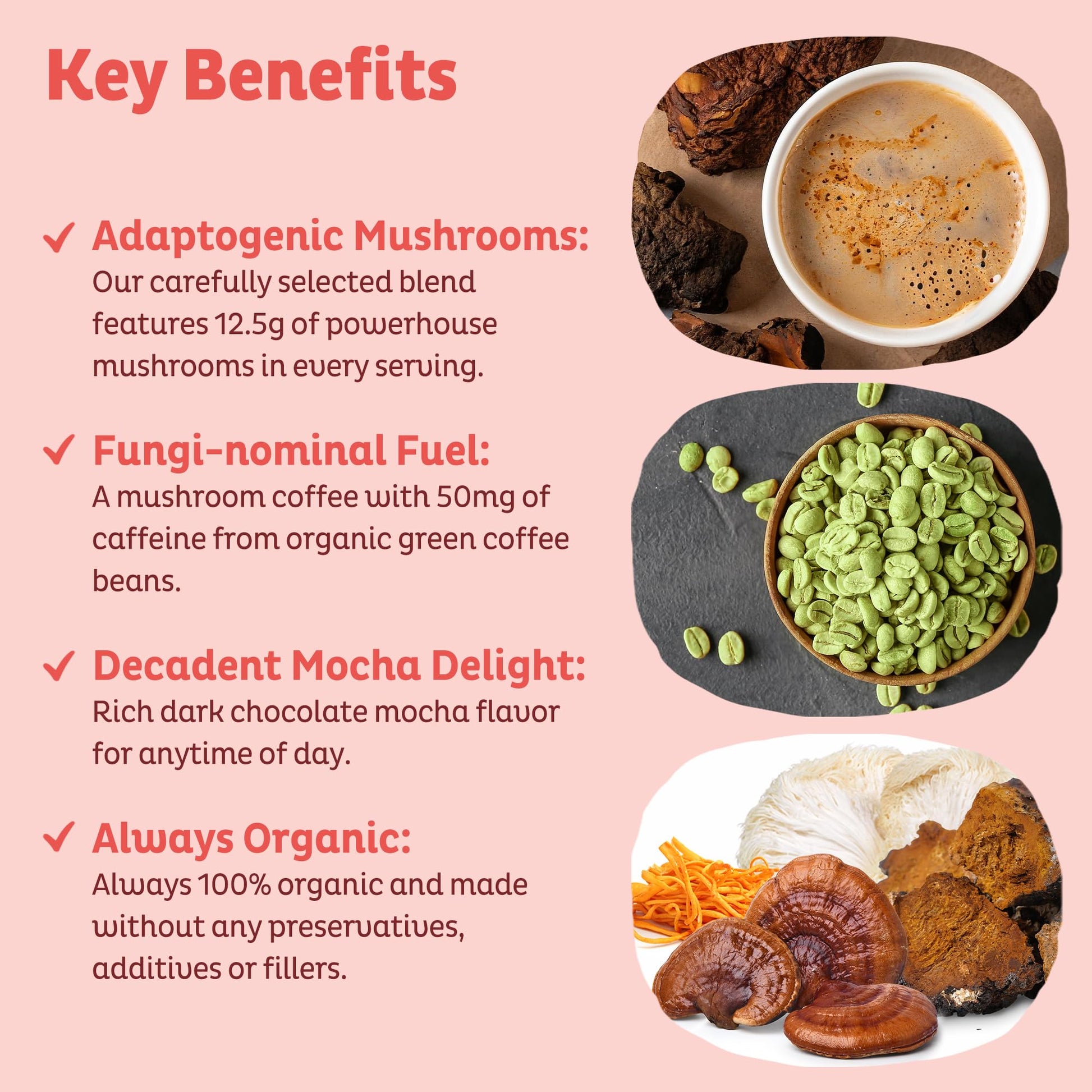 KOS Mushroom Coffee - USDA Certified Organic - Dark Chocolate Mocha Flavor - Mushroom Coffee Latte Powder with Reishi, Cordyceps, Lion's Mane, Chaga & Turkey Tail Mushrooms - dailyvitalstore