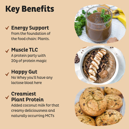 KOS Organic Plant Based Protein Powder, Chocolate Peanut Butter - Delicious Vegan Protein Powder - Keto Friendly, Gluten Free, Dairy Free & Soy Free - 15 Servings - dailyvitalstore