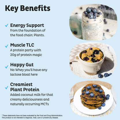 KOS Plant Based Protein Powder, Blueberry Muffin - Organic Pea Protein Superfood with Spirulina and Immune Support Blend. Soy, Gluten, Dairy Free - Vegan Meal Replacement for Women & Men - 15 Servings - dailyvitalstore