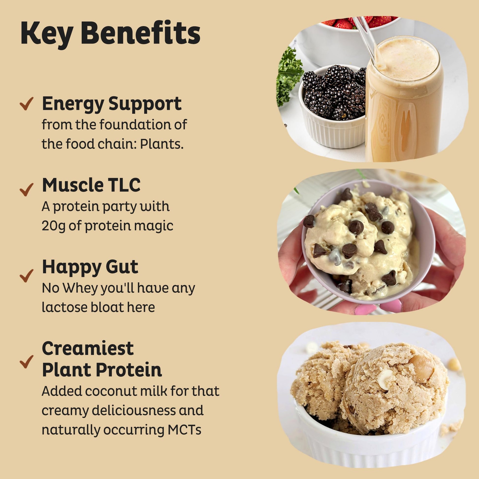 KOS Vegan Protein Powder Erythritol Free, Vanilla USDA Organic - Pea Protein Blend, Plant Based Superfood Rich in Vitamins & Minerals - Keto, Dairy Free - Meal Replacement for Women & Men, 28 Servings - dailyvitalstore