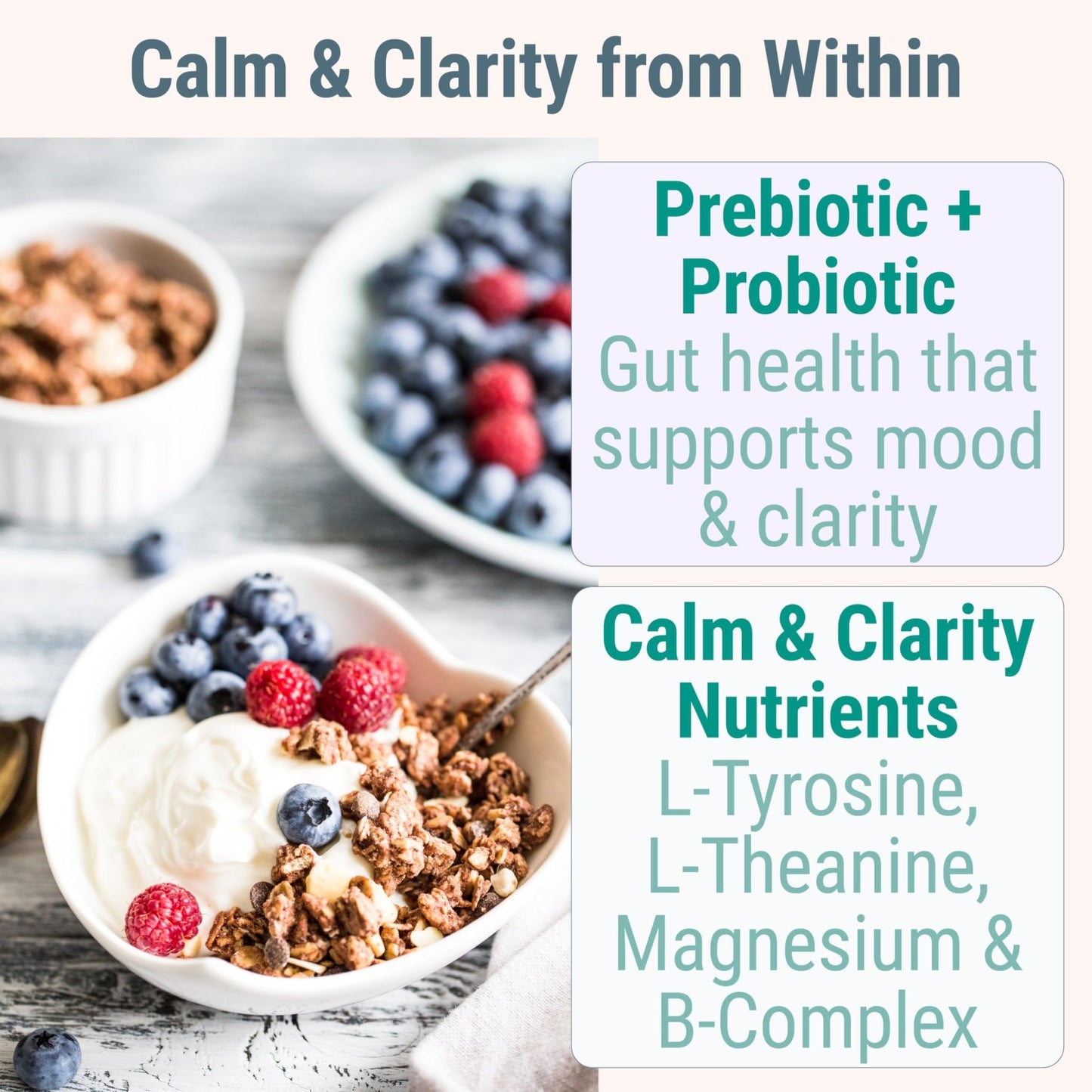 L-Tyrosine L-Theanine Methylated Vitamin B Complex Magnesium Glycinate Probiotic Fiber for Kids Adults Men Women w. Chicory Root Inulin 5-MTHF B12 P5P B6 B9 B5 B3 Powder Capsule Pill Supplement Alt - dailyvitalstore