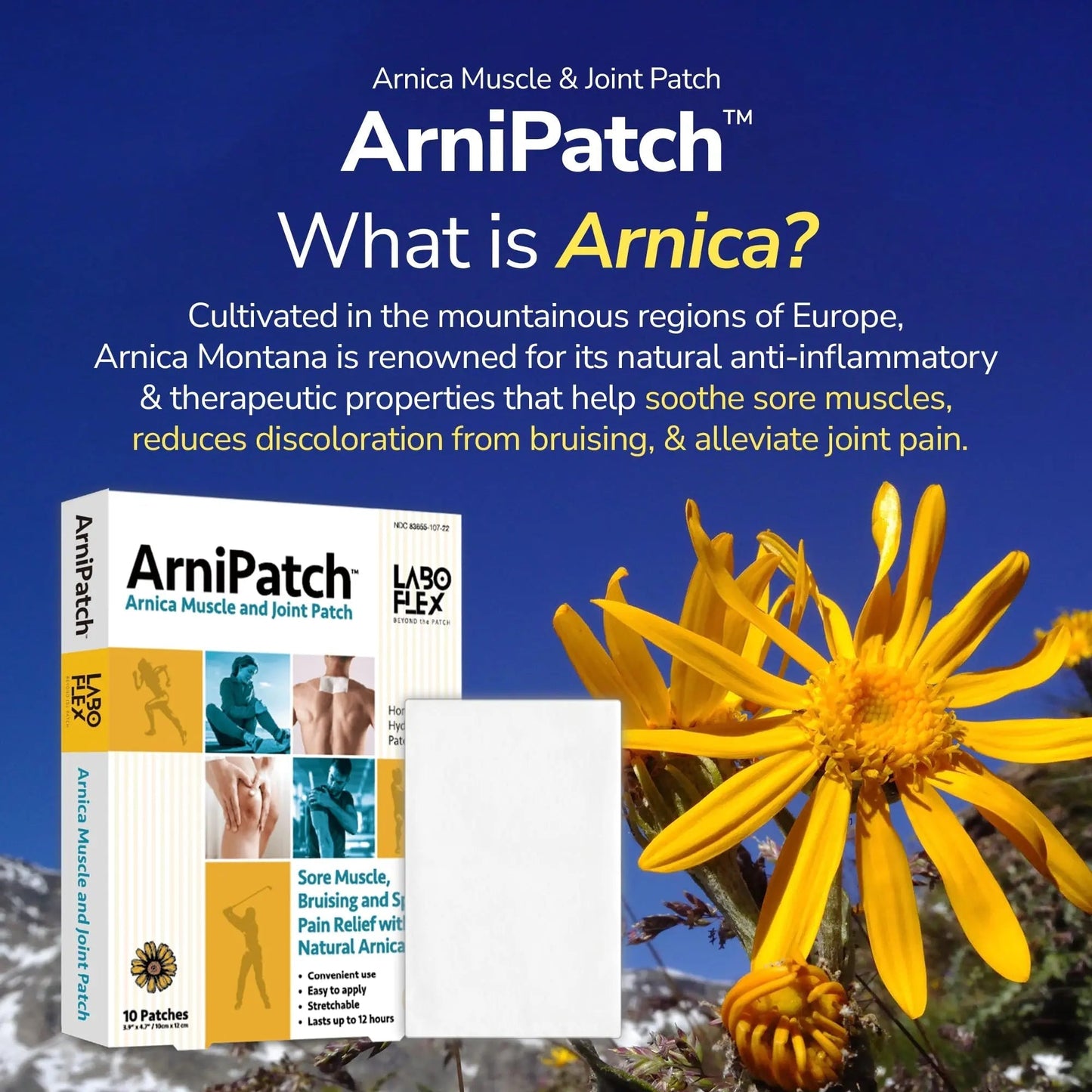 LABOFLEX Arnipatch Natural Arnica Pain Relief Hydrogel Patches – Long Lasting Relief for Muscle Soreness, Swelling, Inflammation, Stiffness & Injury on Back, Knee & Neck (Box, 10, Count) - dailyvitalstore