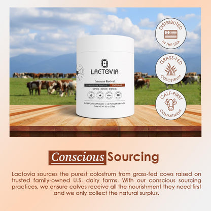 LACTOVIA Bovine Colostrum Powder – Chocolate Flavor | Grass-Fed Colostrum Supplement | Gut & Immune Health Support | Keto, Gluten & Fat-Free | for Women & Men - dailyvitalstore