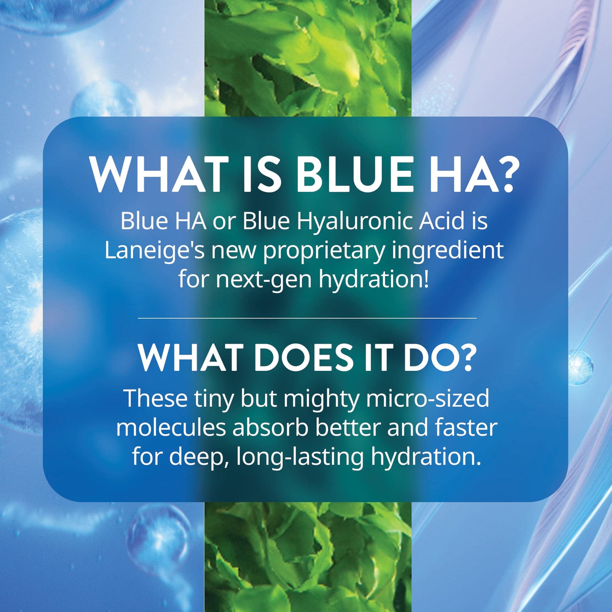 LANEIGE Water Bank Blue Hyaluronic Serum: Hydrating Face Serum with Peptide & Green Tea Enzyme to Improve Skin Firmness & Radiance - dailyvitalstore