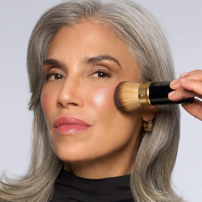 LAURA GELLER Baked Icons Complete Full Face Palette, Light | All-in-One Makeup Palette with Baked Foundations, Blush, Bronzer, Highlighter, Eyeshadows | Coverage for Mature Skin | Travel-Friendly - dailyvitalstore