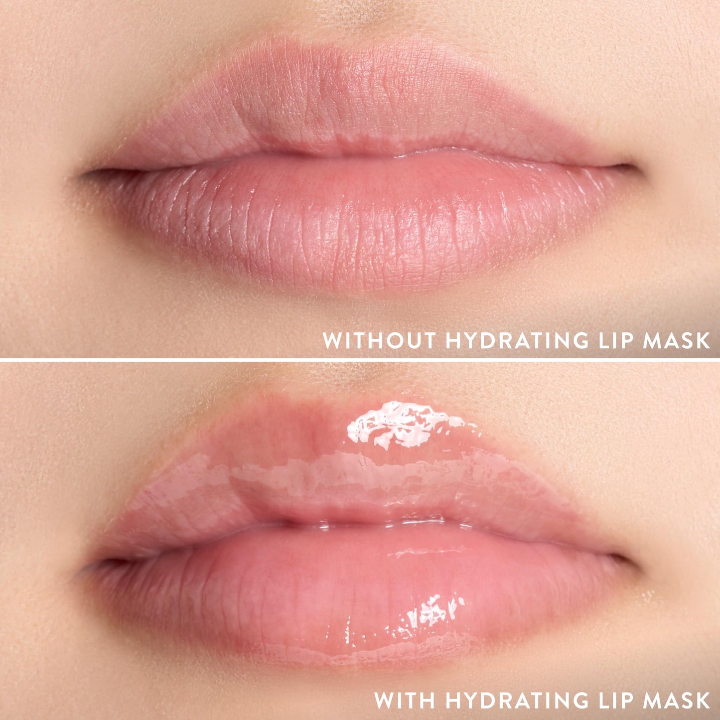 LAURA GELLER NEW YORK Hydrating Lip Mask – Deep Moisture Lip Treatment for Dry, Chapped Lips with Jojoba Oil & Shea Butter – Includes Applicator – Lavender - dailyvitalstore