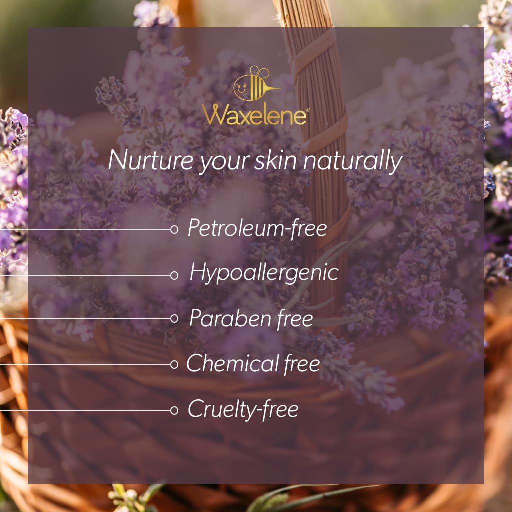 Lavender Aerated Lip Balm tin - Single - dailyvitalstore