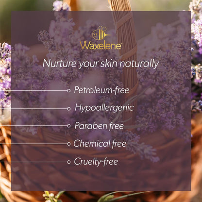 Lavender Aerated Lip Balm tin - Single - dailyvitalstore