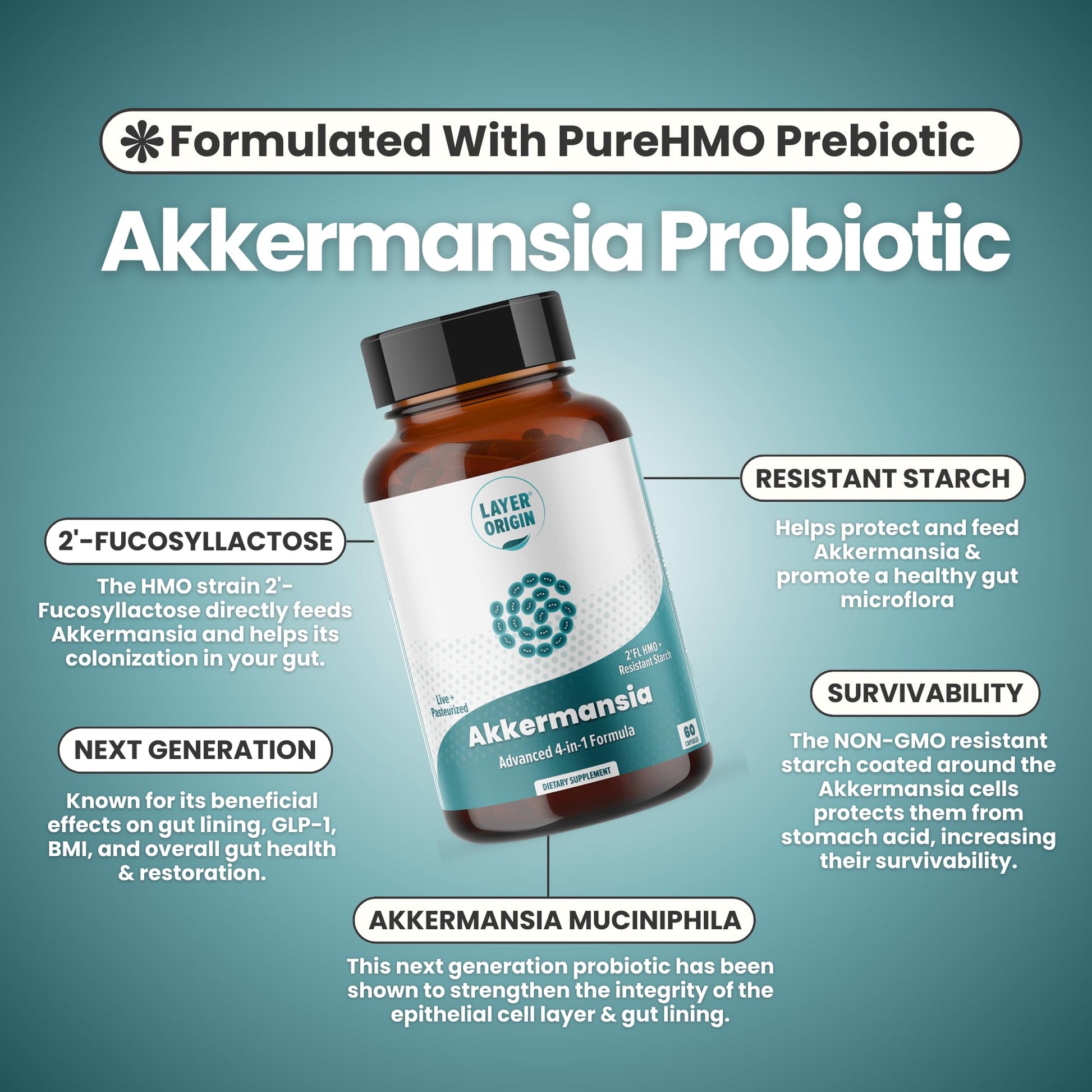 Layer Origin Akkermansia muciniphila Probiotic, with Both Live + Pasteurized Akkermansia and PureHMO Prebiotic, Validated Strain, Updated 4-in-1 Formula - dailyvitalstore
