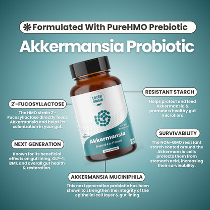 Layer Origin Akkermansia muciniphila Probiotic, with Both Live + Pasteurized Akkermansia and PureHMO Prebiotic, Validated Strain, Updated 4-in-1 Formula - dailyvitalstore