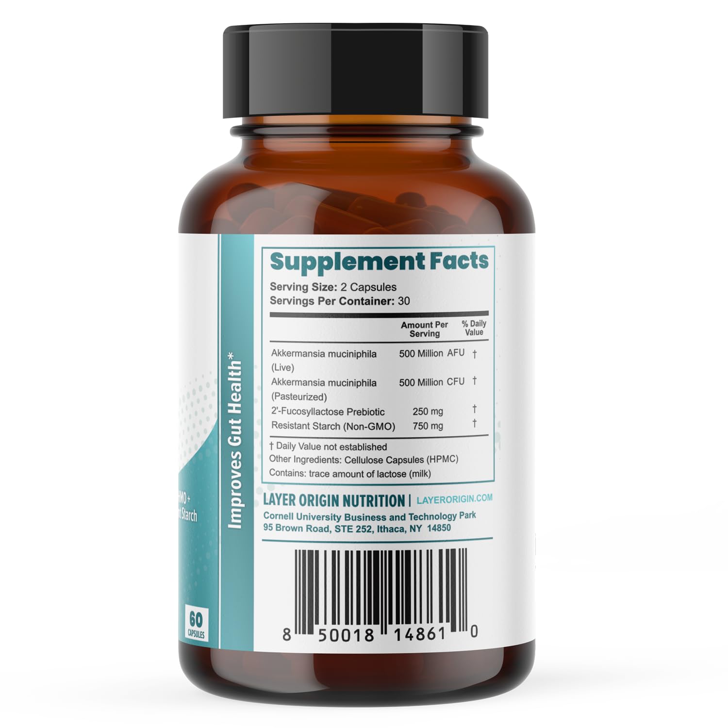 Layer Origin Akkermansia muciniphila Probiotic, with Both Live + Pasteurized Akkermansia and PureHMO Prebiotic, Validated Strain, Updated 4-in-1 Formula - dailyvitalstore