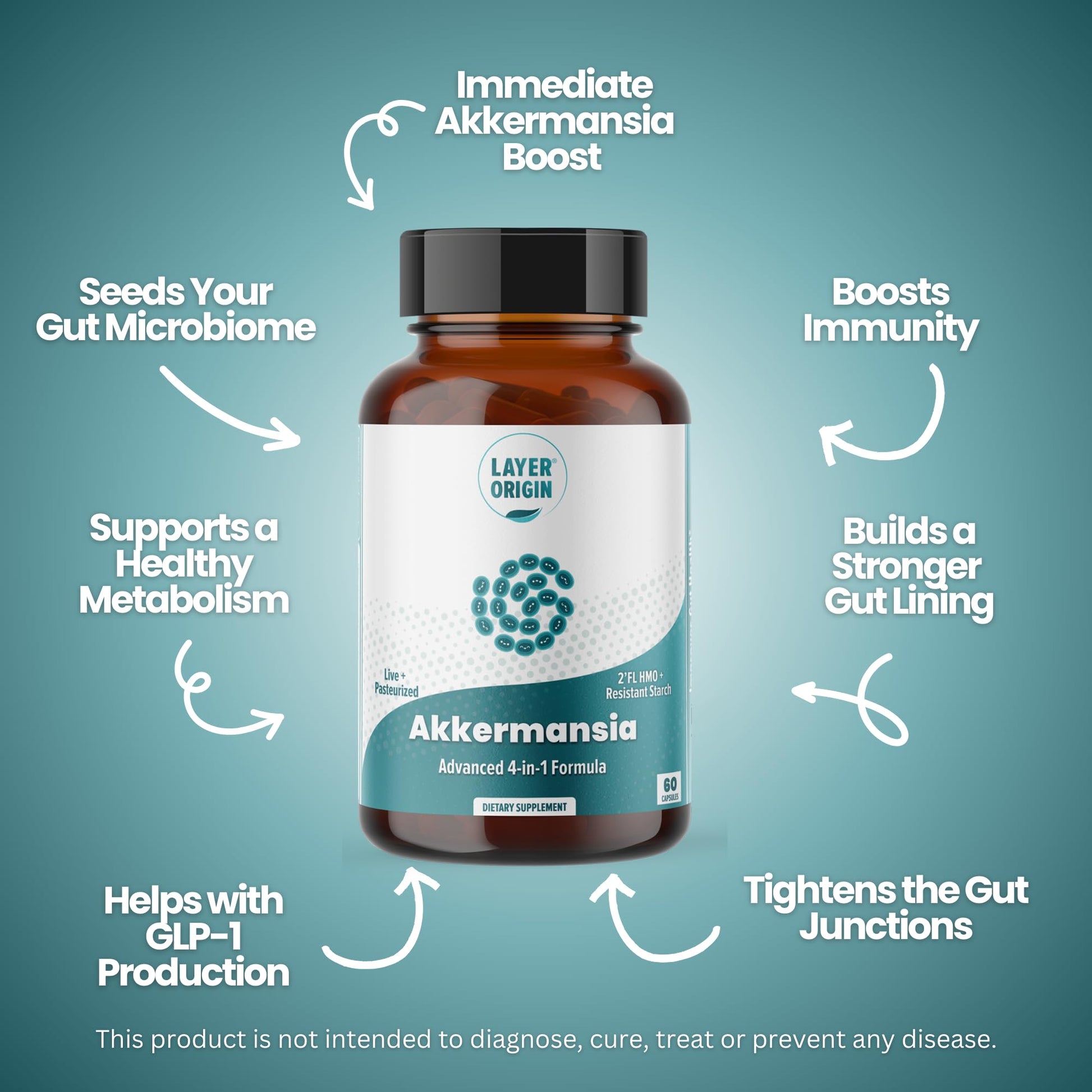 Layer Origin Akkermansia muciniphila Probiotic, with Both Live + Pasteurized Akkermansia and PureHMO Prebiotic, Validated Strain, Updated 4-in-1 Formula - dailyvitalstore