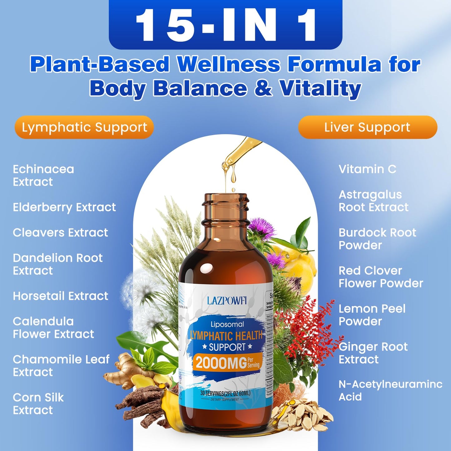 Lazpowfi Lymphatic Drainage Drops – Liposomal Lymphatic Drainage Supplements with Echinacea 500mg, Elderberry, Burdock Root & Dandelion – Liquid Lymphatic Drops, 2 fl oz - dailyvitalstore