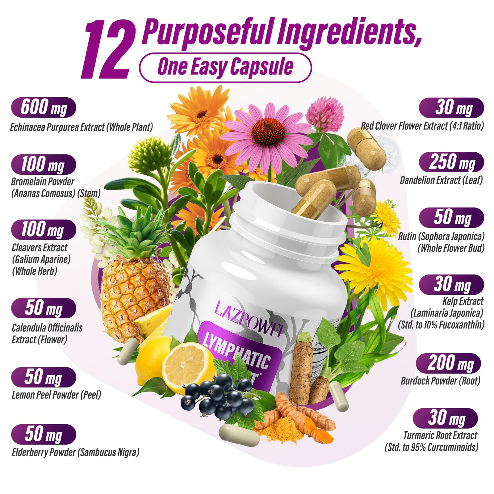 Lazpowfi Lymphatic Drainage Supplements, 1540mg Lymph System Support Supplement for Women & Men with Dandelion, Burdock, Echinacea,Rutin, Turmeric,Cleavers & More, 60 Capsules - dailyvitalstore