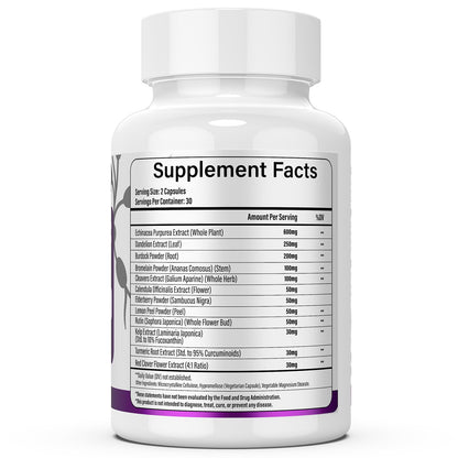 Lazpowfi Lymphatic Drainage Supplements, 1540mg Lymph System Support Supplement for Women & Men with Dandelion, Burdock, Echinacea,Rutin, Turmeric,Cleavers & More, 60 Capsules - dailyvitalstore