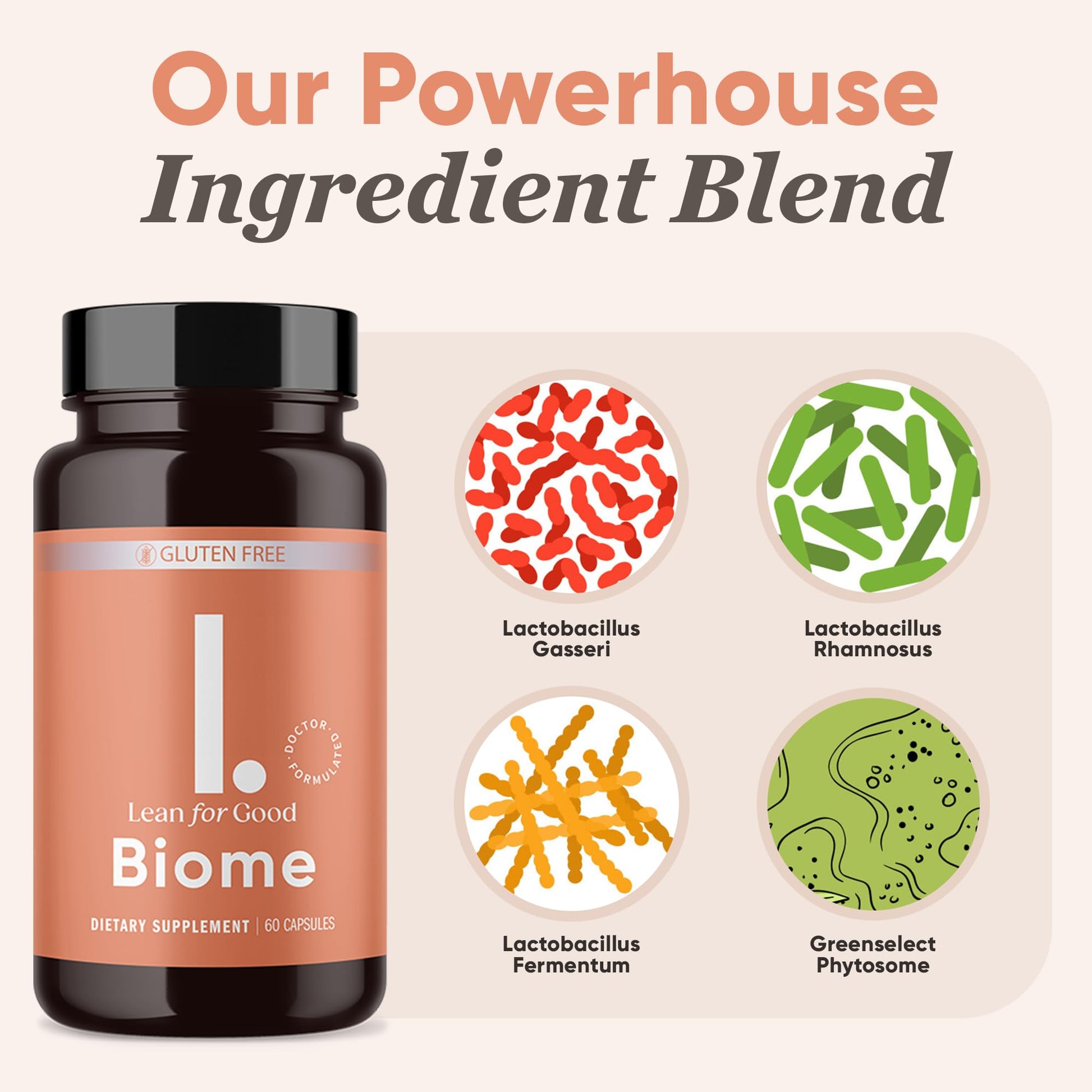 LEANFORGOOD Biome, 9-Strain Probiotic Formula, Supports a Balanced Gut Microbiome, Powerful Gut Probiotics - dailyvitalstore