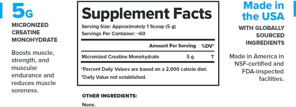 LEGION Micronized Creatine Monohydrate Supplement - Clean Creatine Powder for Muscle Gain & Post Workout Recovery - Micronized Creatine Supplement for Maximum - dailyvitalstore
