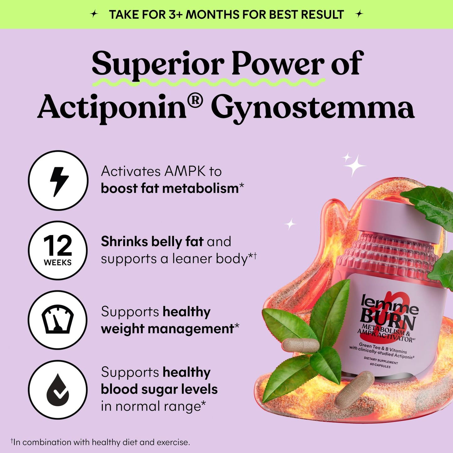 Lemme Burn - Metabolism, Belly Fat Burning + AMPK Activating Supplement for Men & Women w/Clinically Studied Actiponin Gynostemma, Green Tea Extract - dailyvitalstore