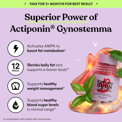 Lemme Burn - Metabolism, Belly Fat Burning + AMPK Activating Supplement for Men & Women w/Clinically Studied Actiponin Gynostemma, Green Tea Extract - dailyvitalstore