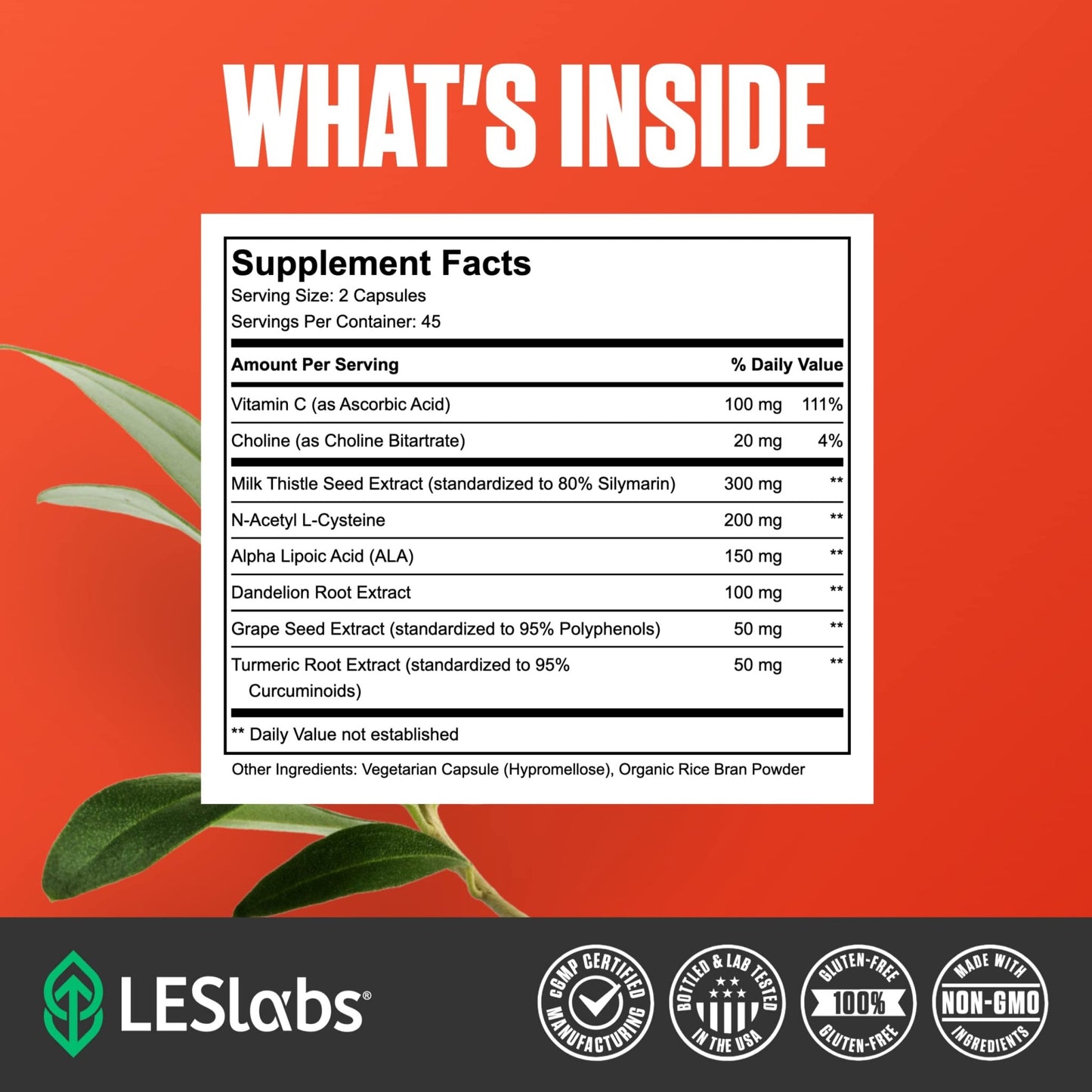 LES Labs Liver Support – Promotes Healthy Liver Function, Glutathione Production & Detoxification – Milk Thistle, NAC, ALA & Dandelion Extracts – Non-GMO Supplement – 90 Capsules - dailyvitalstore