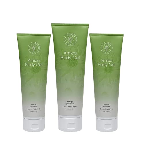 L’EUDINE Arnica Gel – Pack of 3 – Extra Strength for Bruise Relief, Wonder-Plant for Treating Muscle Soreness, Bruising, and Swelling - Fast Absorbing, Natural Formula - dailyvitalstore