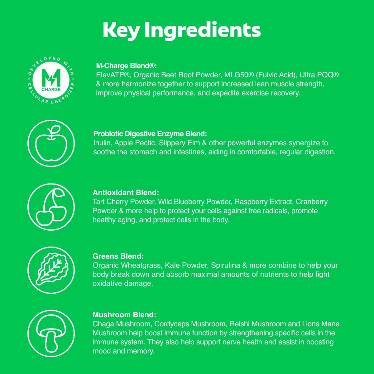L'Evate You Vitality Daily Greens Powder (28 Servings) 30 Superfoods, 9 Greens - for a Cellular Energy Boost, Powered by M-Charge Complex for All Day Energy (Original) - dailyvitalstore