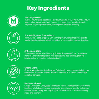L'Evate You Vitality Daily Greens Powder (28 Servings) 30 Superfoods, 9 Greens - for a Cellular Energy Boost, Powered by M-Charge Complex for All Day Energy (Original) - dailyvitalstore
