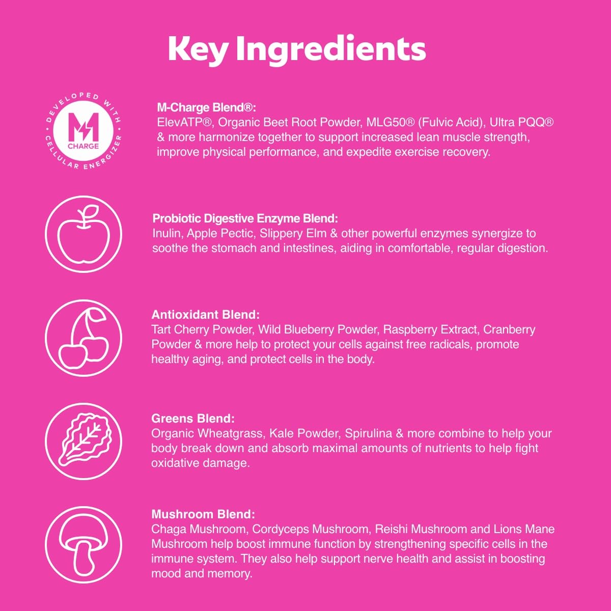 L'Evate You Vitality Daily Greens Powder (28 Servings) 30 Superfoods, 9 Greens - for a Cellular Energy Boost, Powered by M-Charge Complex for All Day Energy (Tart Cherry) - dailyvitalstore