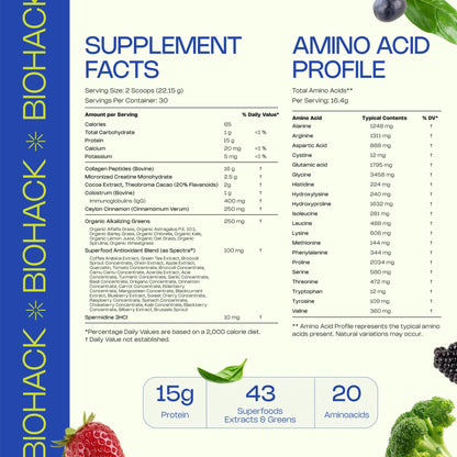 LevelUp Biohack Ageless: Colostrum Collagen Superfoods Antioxidants Spermidine Amino Acids Creatine for Women and Men, Total Body Rejuvenation (Dark Chocolate Cinnamon) - dailyvitalstore
